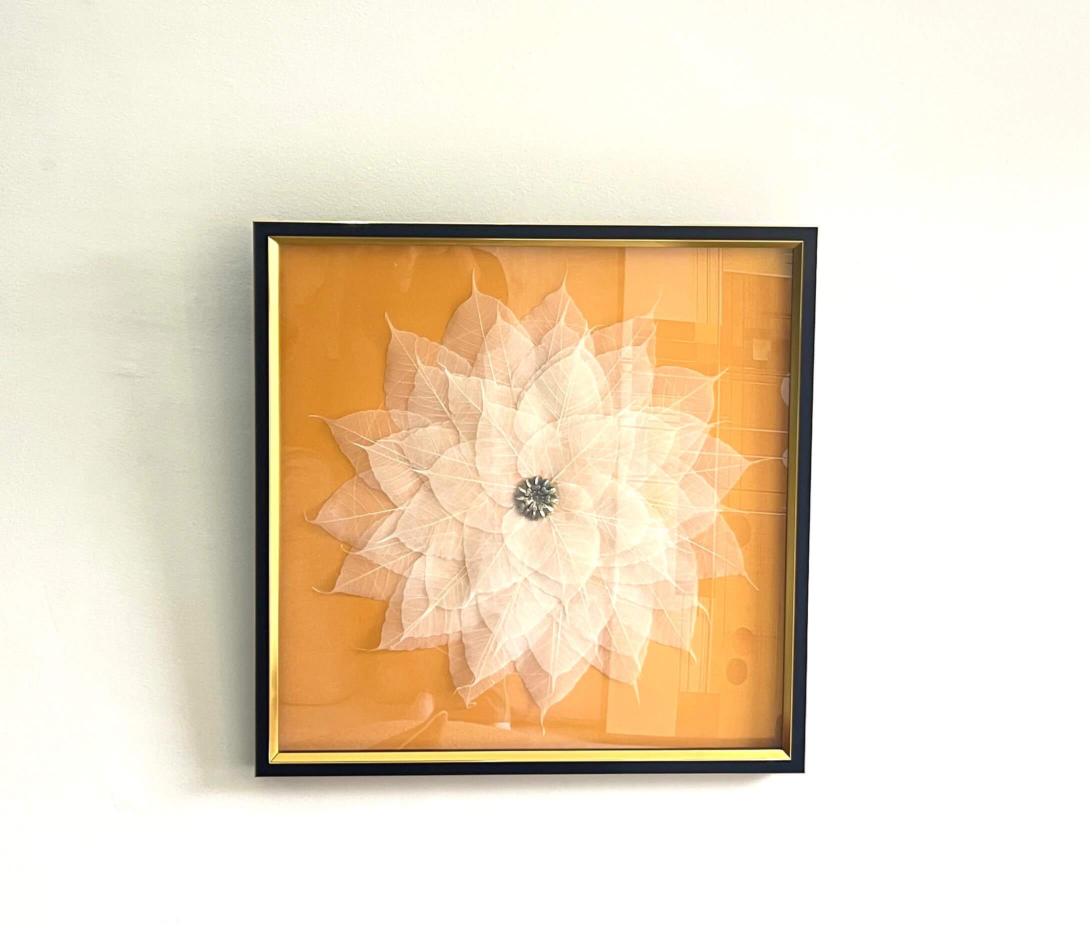 Tableau Carré 3D 80x80 cm - Décoration Murale Fleur Squelette Blanche et Fond Orange Ambré avec Cœur Bijou